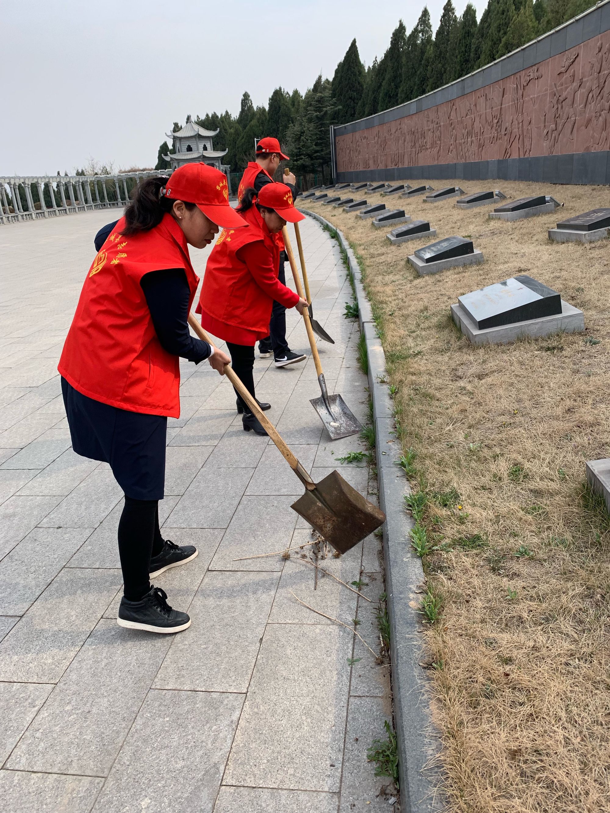 沈阳市民带1800个苹果祭扫英烈