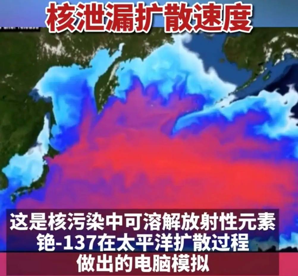 日本排放核污染水已3个月 中方回应