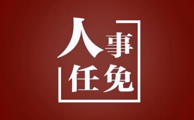 水庆霞新职务揭晓