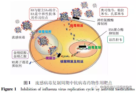 儿科门诊纪实：患儿续增 拐点未现