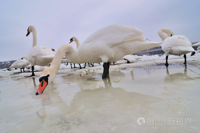 东北是捅了雪窝了