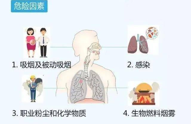 连撞11车特斯拉车主：当天刚上牌