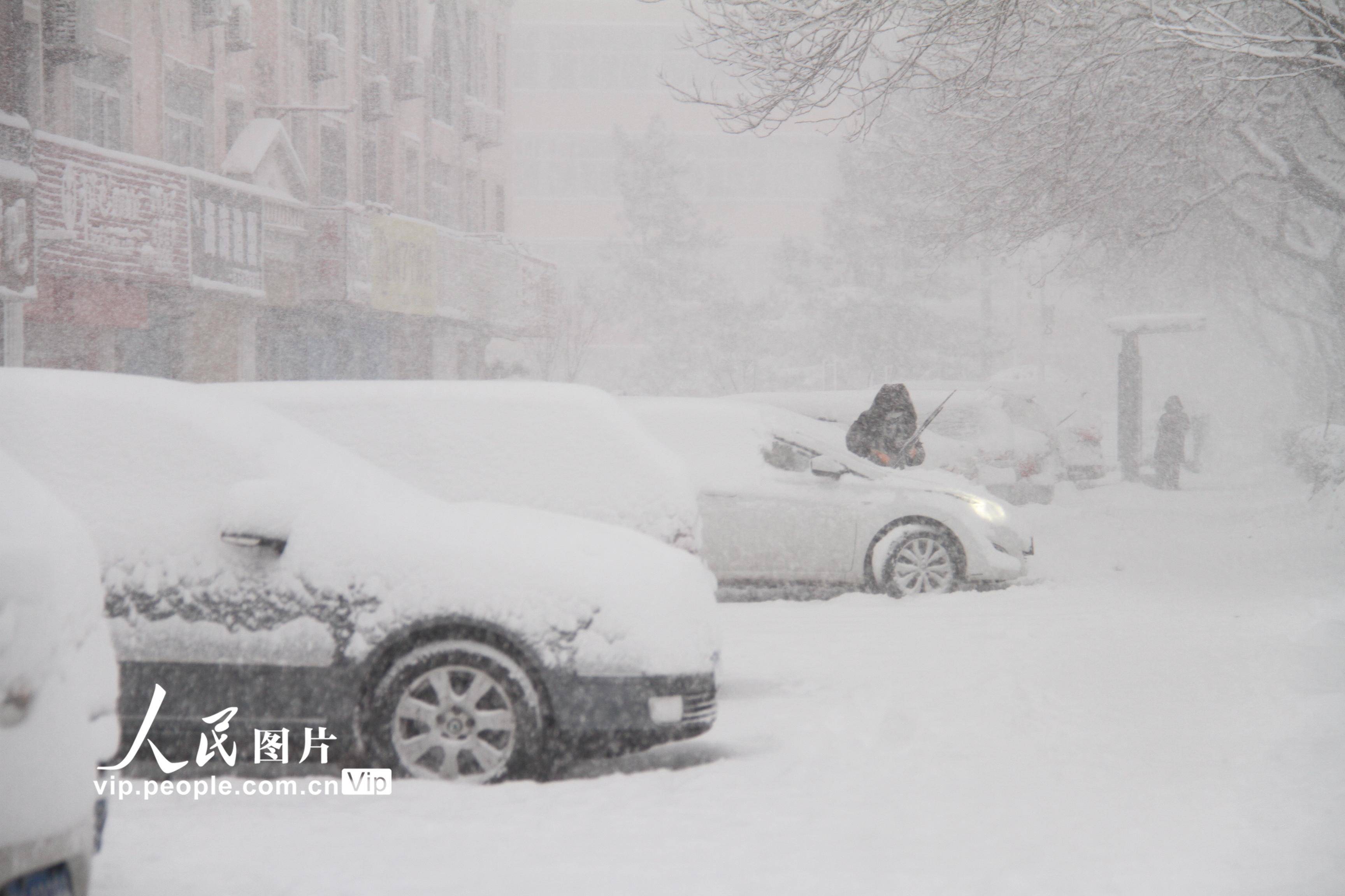 东北是捅了雪窝了