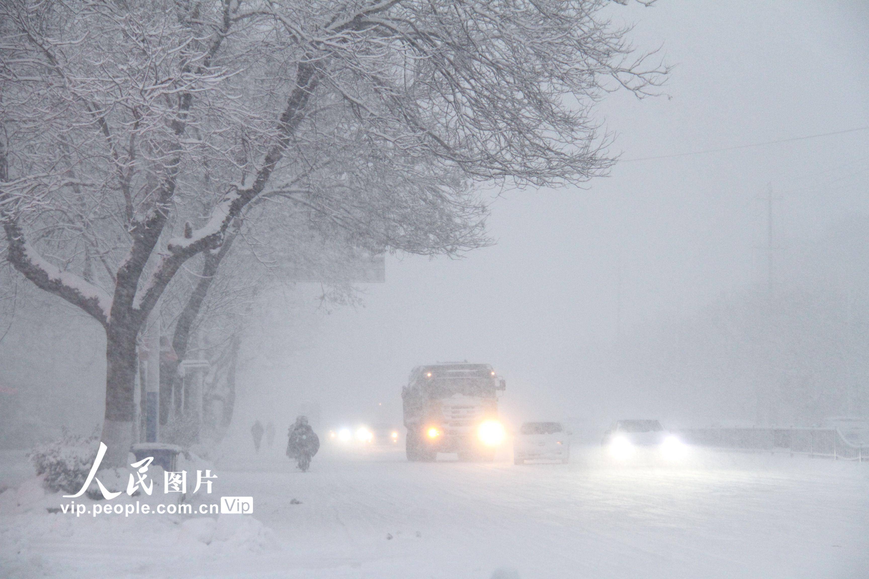 东北是捅了雪窝了