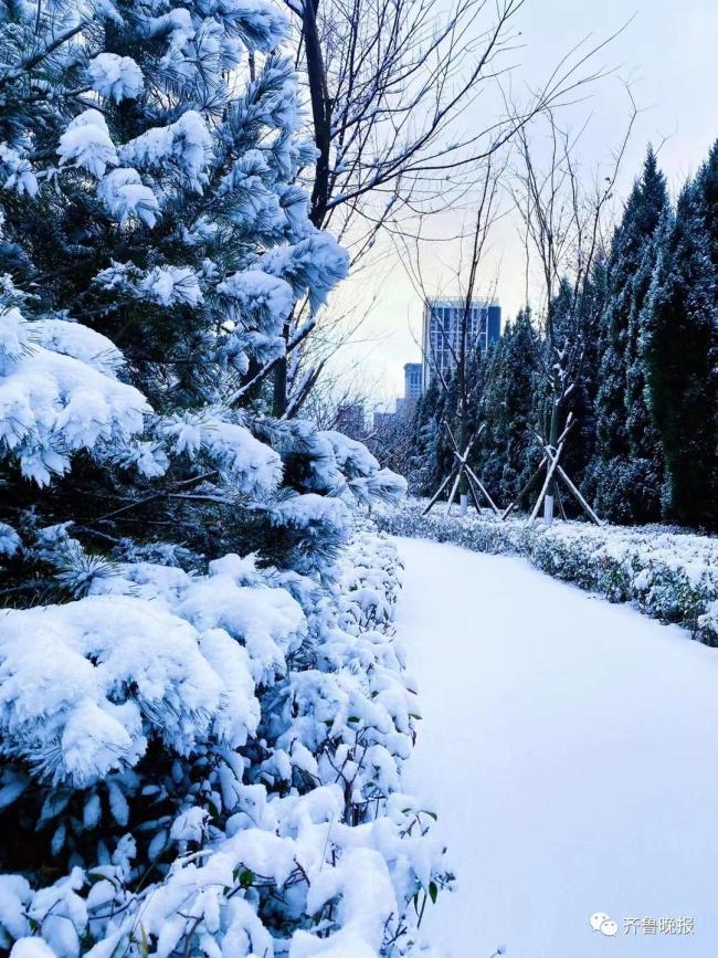 东北是捅了雪窝了