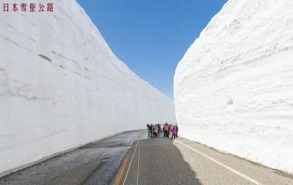 不是东北！山东这俩城市为啥要“雪中刨车”？