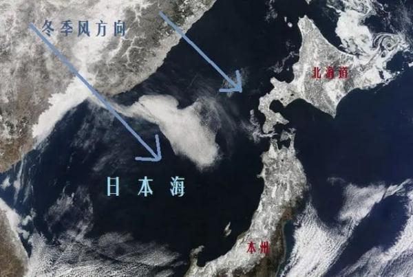 不是东北！山东这俩城市为啥要“雪中刨车”？