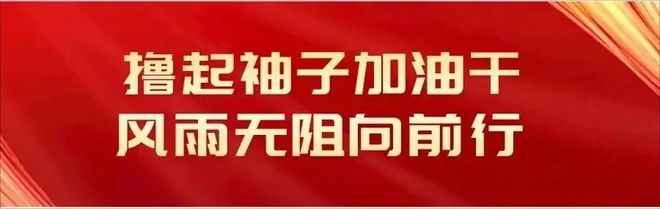 中国奥委会：别被饭圈乱象带节奏