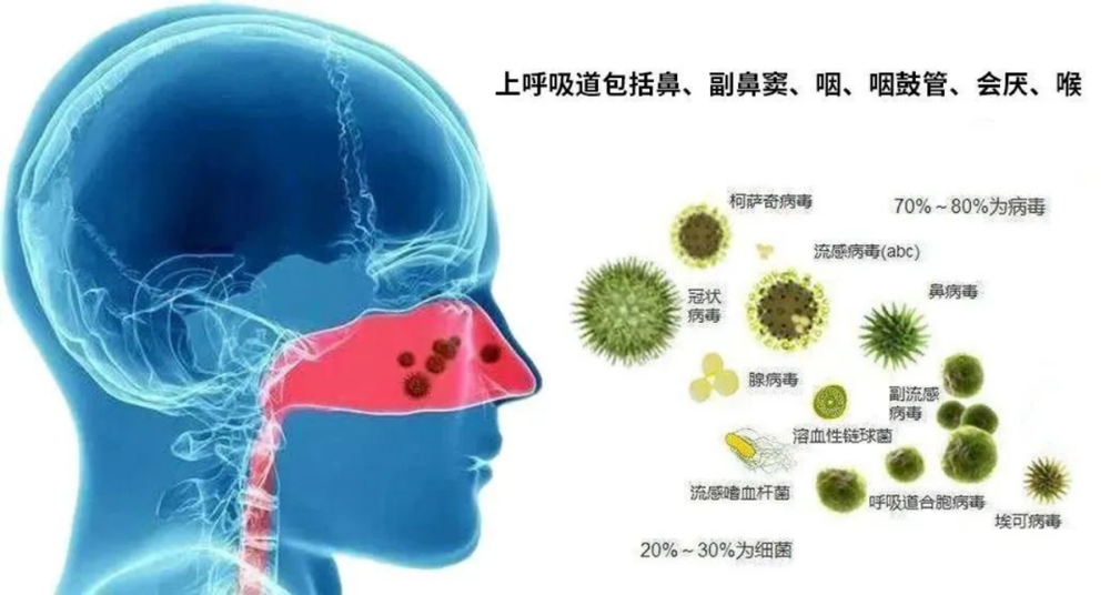 专家：这次大流行或与免疫落差有关