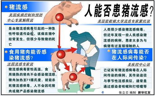 英国报告首例人感染h1n2病例